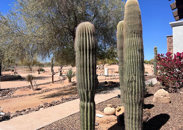 Farm stay Shah Ranch